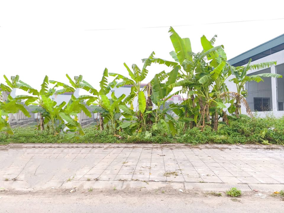 Đất nền Mạc Đĩnh Chi Hưng Yên 100m² - View sông thoáng mát, giá thỏa thuận!