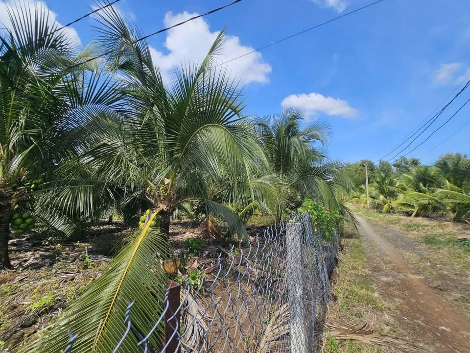 Đất nền Phú Vinh, Định Quán 4000m² giá 1.5 tỷ - Cơ hội đầu tư tuyệt vời!