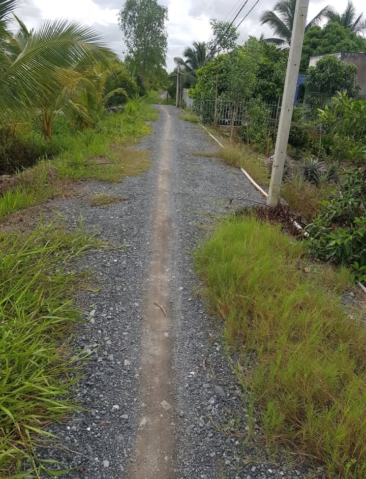 Đất vườn 970m² tại Ấp 1, Lương Bình, Bến Lức - Giá chỉ 1.4 tỷ - Đầu tư sinh lời!