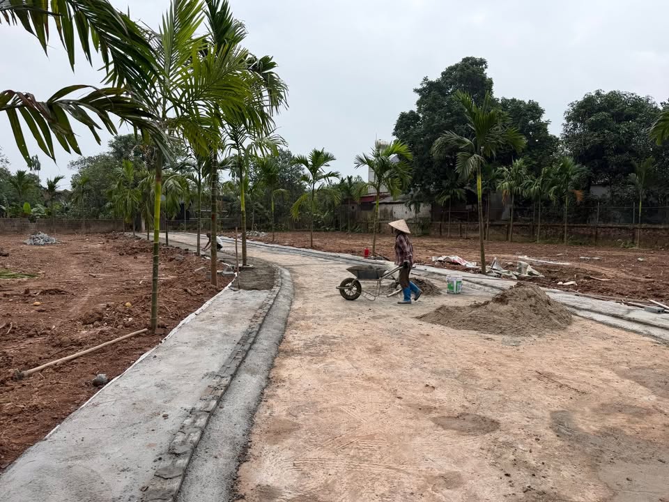 Đất nền dự án Quan Nha, Duy Tiên, Hà Nam 80m² giá 1.3 tỷ - Vị trí đắc địa, cơ hội đầu tư tốt!