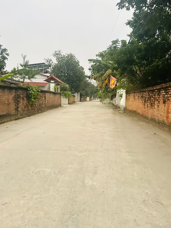 Đất nền Tân Minh, Sóc Sơn 95m² giá chỉ 2x triệu - Cơ hội đầu tư hấp dẫn!