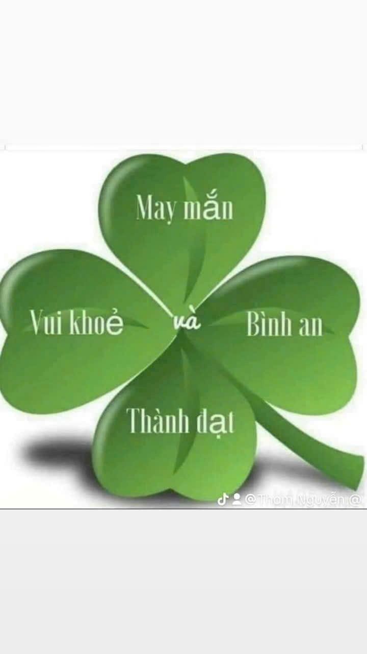 Nhà phố Gò Vấp 50m² giá 4.56 tỷ - Full nội thất, hẻm thông rộng!