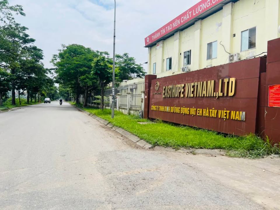 Đất dịch vụ Tiên Phương, Chương Mỹ 46.8m² giá 3 tỷ - Cơ hội đầu tư hấp dẫn!