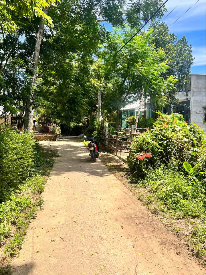 Đất nền Nam Phước - Duy Xuyên 270m² giá chỉ 375 triệu - Đường bê tông thông thoáng!