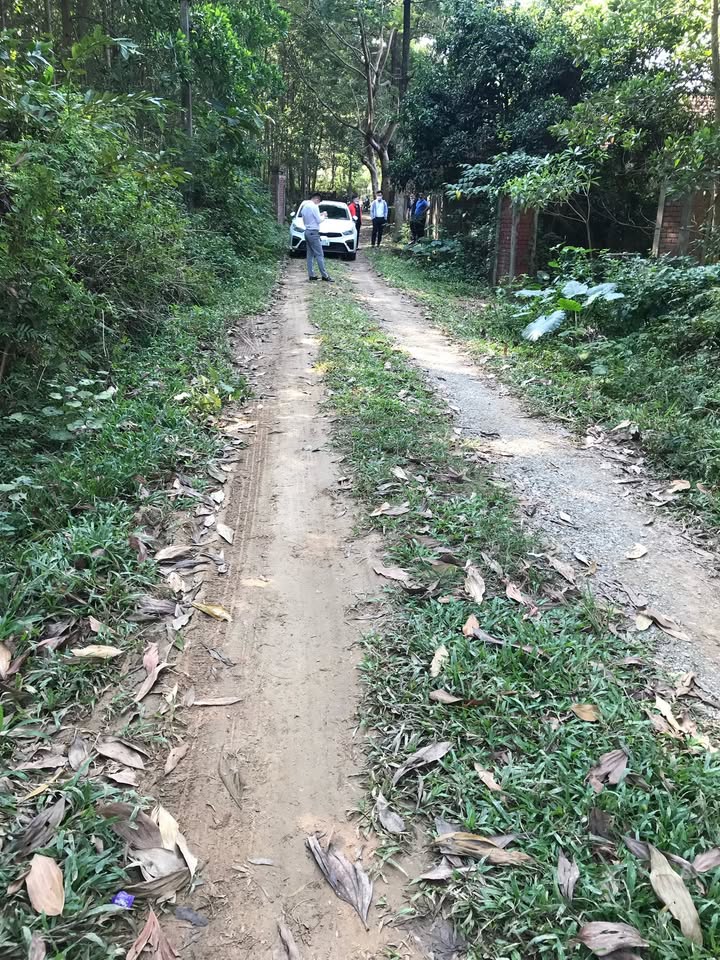 Đất nền Cư Yên - Lương Sơn 610m² giá thỏa thuận - Đầu tư sinh lời cao!