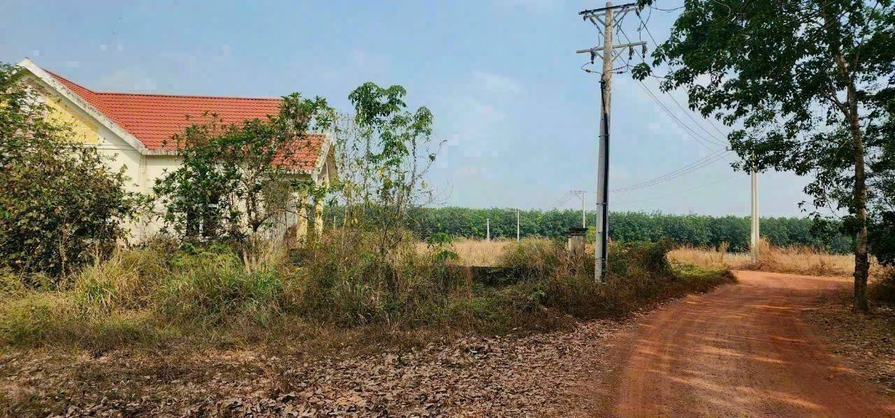 Đất nền Long Nguyên Bàu Bàng 10.279m² giá thỏa thuận - Pháp lý rõ ràng