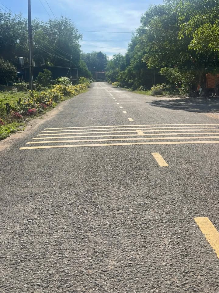 Đất nền Phước Sang, Phú Giáo 310m² giá 600 triệu - Sổ đỏ chính chủ, khu dân cư đông đúc!