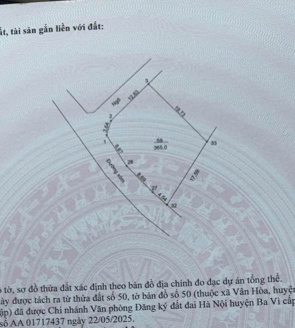 Đất nền Yên Bài Ba Vì 365m² giá chỉ vài triệu/m² - Đầu tư tiềm năng!
