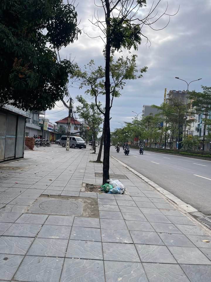 Đất dịch vụ Trạm Trôi 81.1m² giá thỏa thuận - Đầu tư sinh lời hấp dẫn!