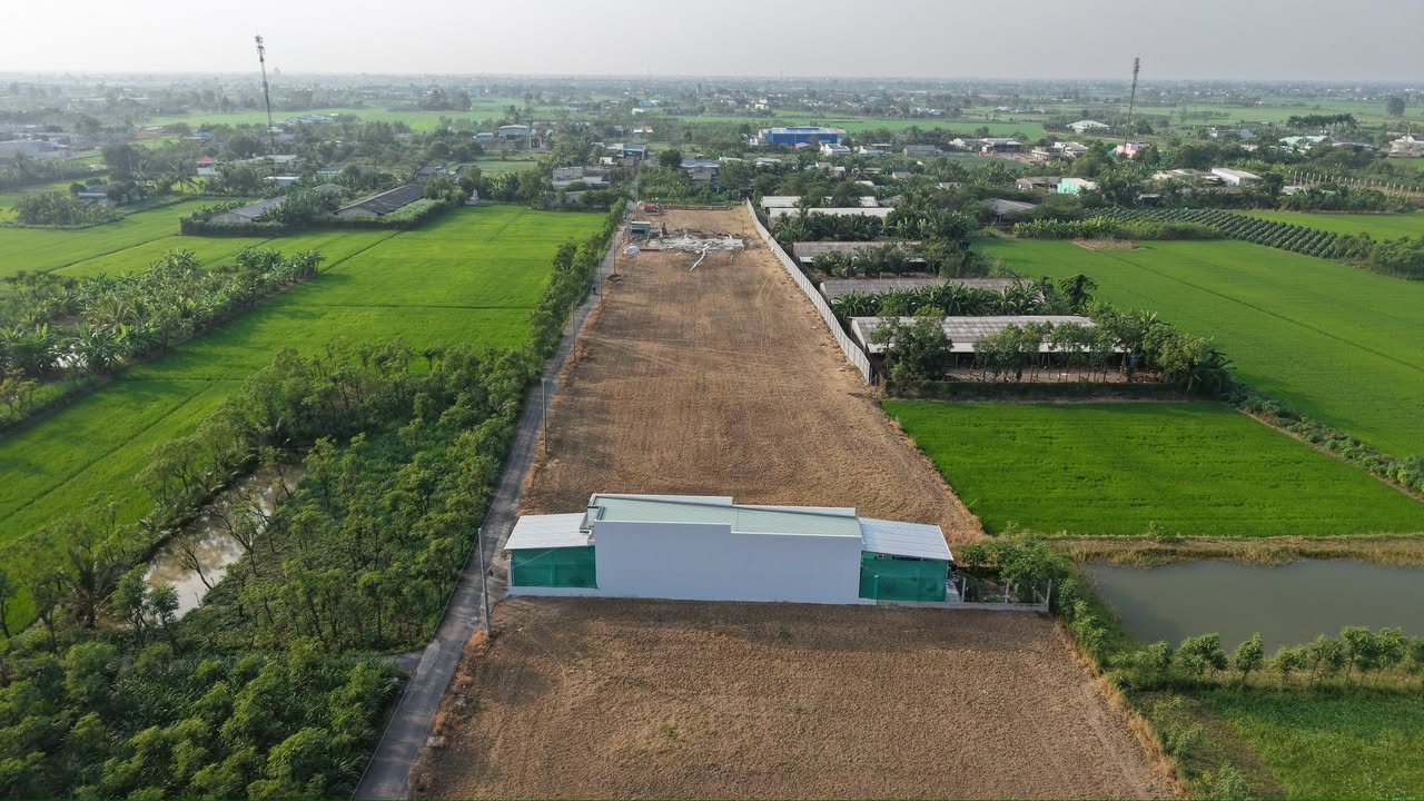 Đất thổ cư Tân Hòa, Tiền Giang 192m² giá 440 triệu - Cơ hội đầu tư hiếm có!