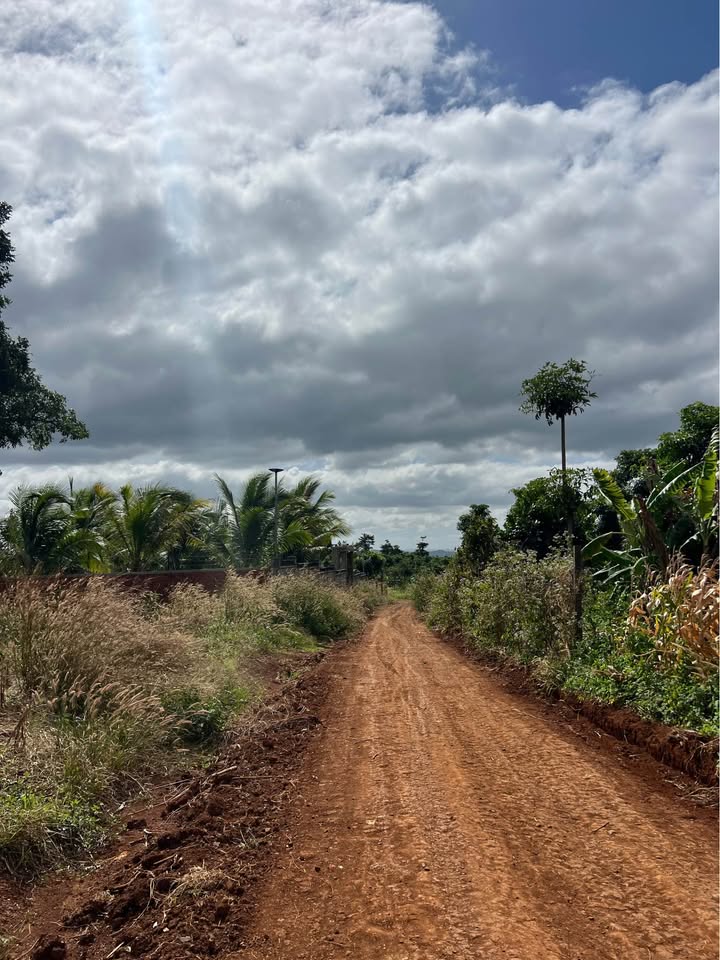 Đất thổ cư Phường Thành Nhất 637m² giá 550 triệu - Đất vuông vức, sẵn sàng xây dựng!