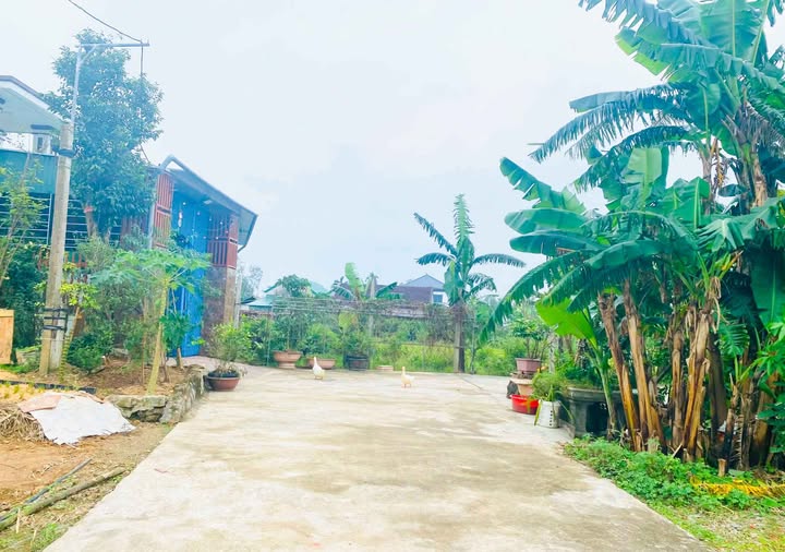 Đất nền Tân Lâm Hương, Thạch Hà 129,2m² giá 900 triệu - Khu dân cư đông đúc!