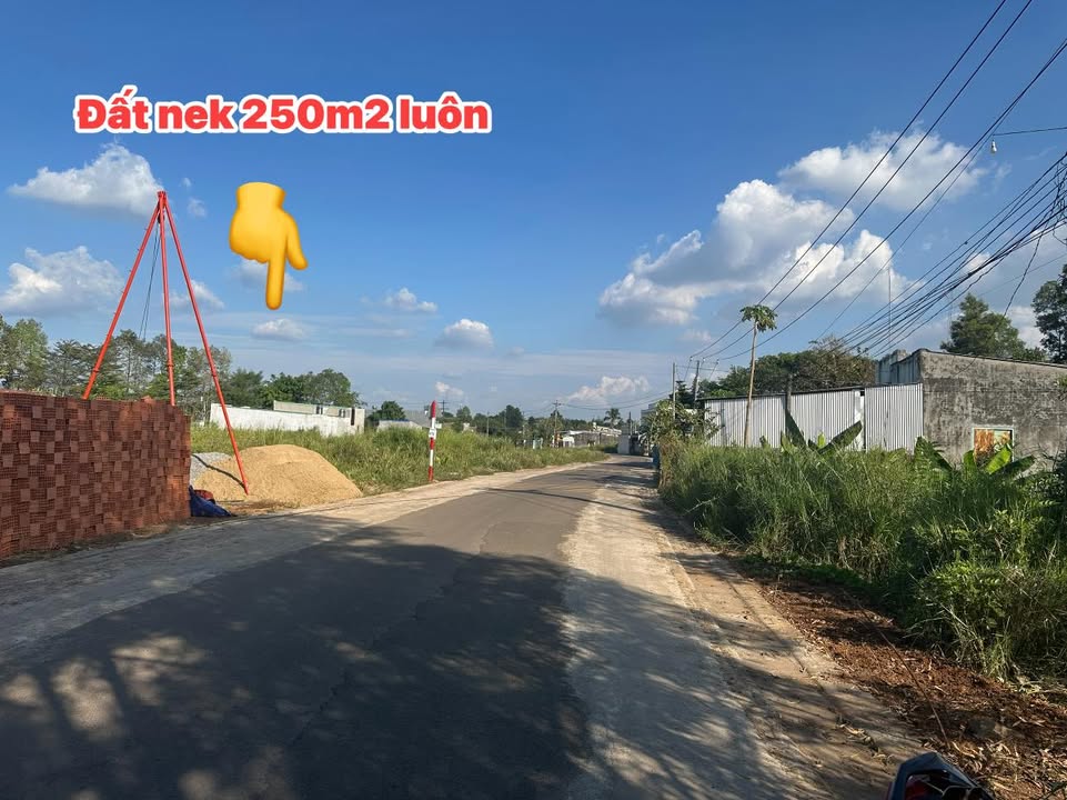 Đất thổ cư Sông Thao 250m² giá 1.1 tỷ - Cơ hội đầu tư tuyệt vời!