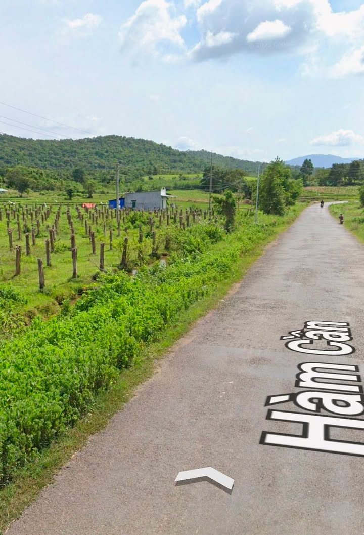 Đất nông nghiệp Hàm Cần 7000m² giá 7 tỷ - Mặt tiền đường nhựa lý tưởng!