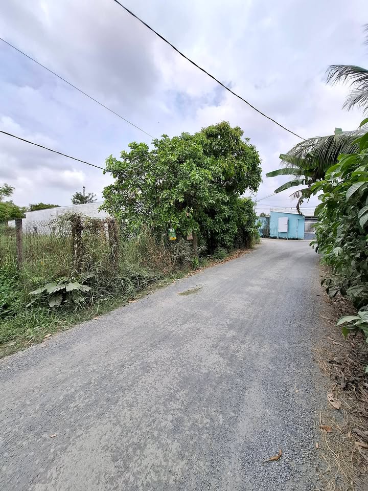 Đất mặt tiền nhựa 6m tại Xã Song Lộc, Trà Vinh 120m² giá chỉ 400 triệu - Đầu tư sinh lời hiệu quả!