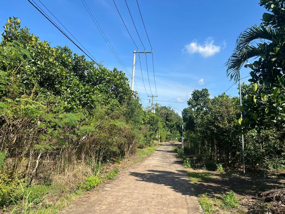 Đất nền Bảo Vinh Long Khánh 3600m² giá 1.1 tỷ - Cơ hội đầu tư hấp dẫn!