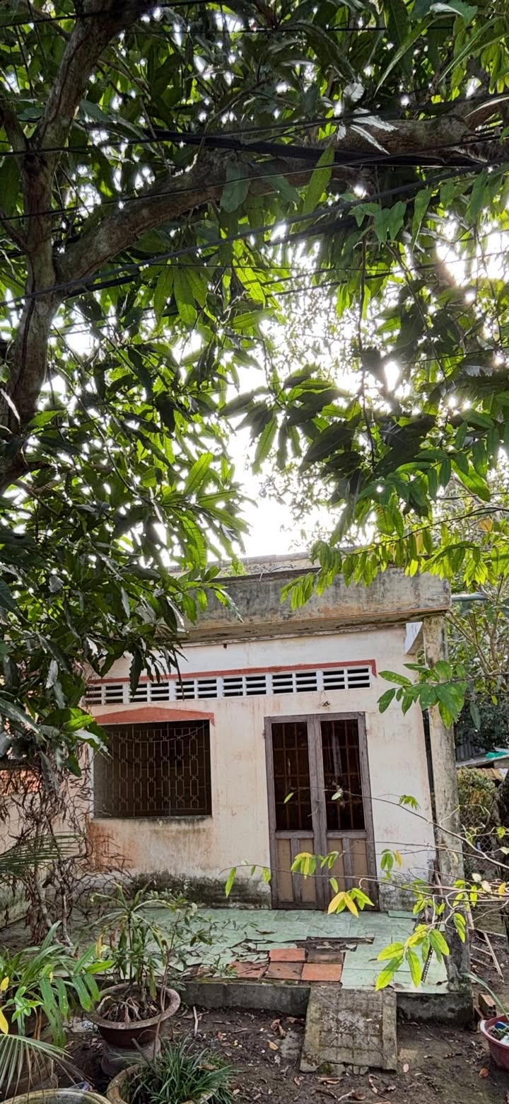 Đất nền 111,7m² tại Rạch Cái Sâu, Hưng Phú, Cần Thơ - Giá chỉ 1,2 tỷ!