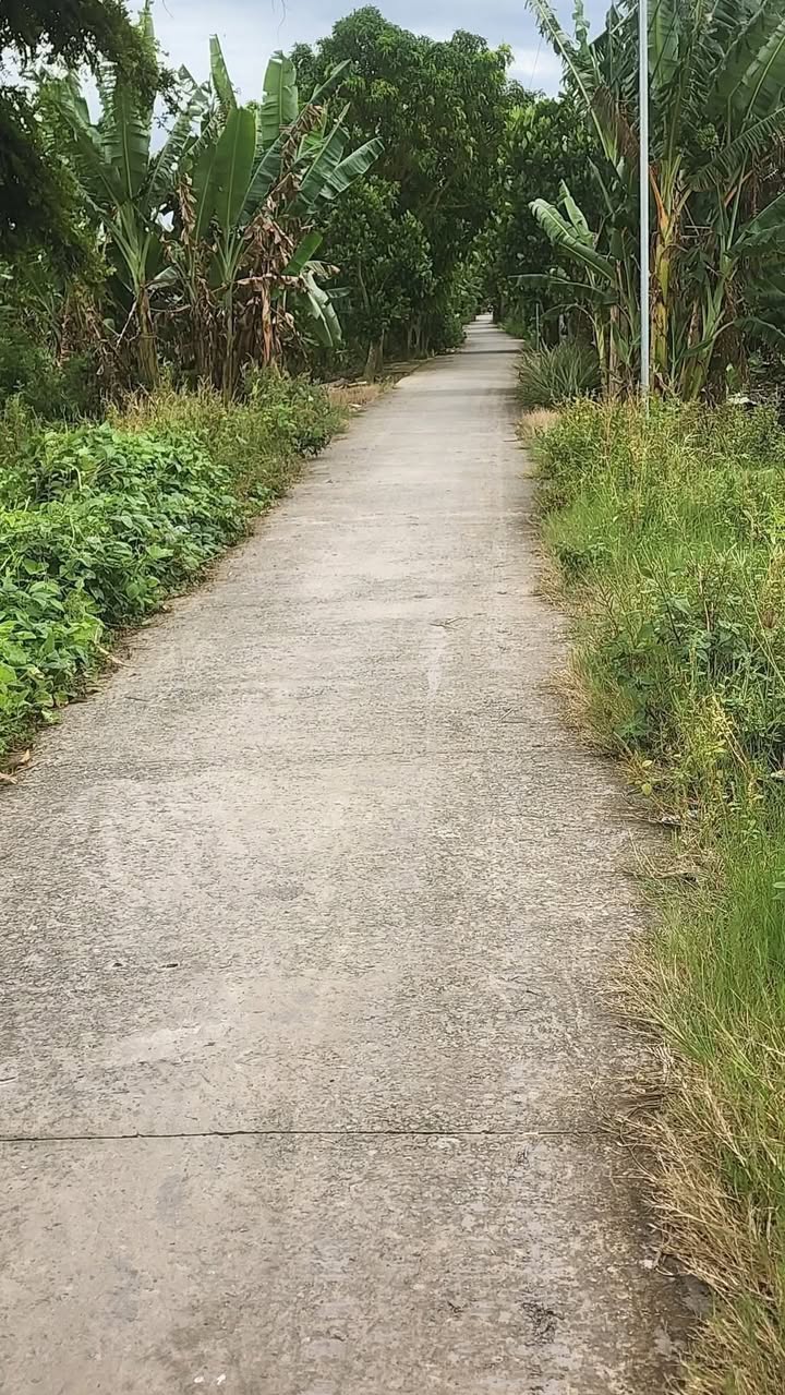 Đất nền ấp Hải Hưng, xã Nhơn Hòa, huyện Tân Thạnh, 23 công giá 3.91 tỷ - Cơ hội đầu tư hấp dẫn!