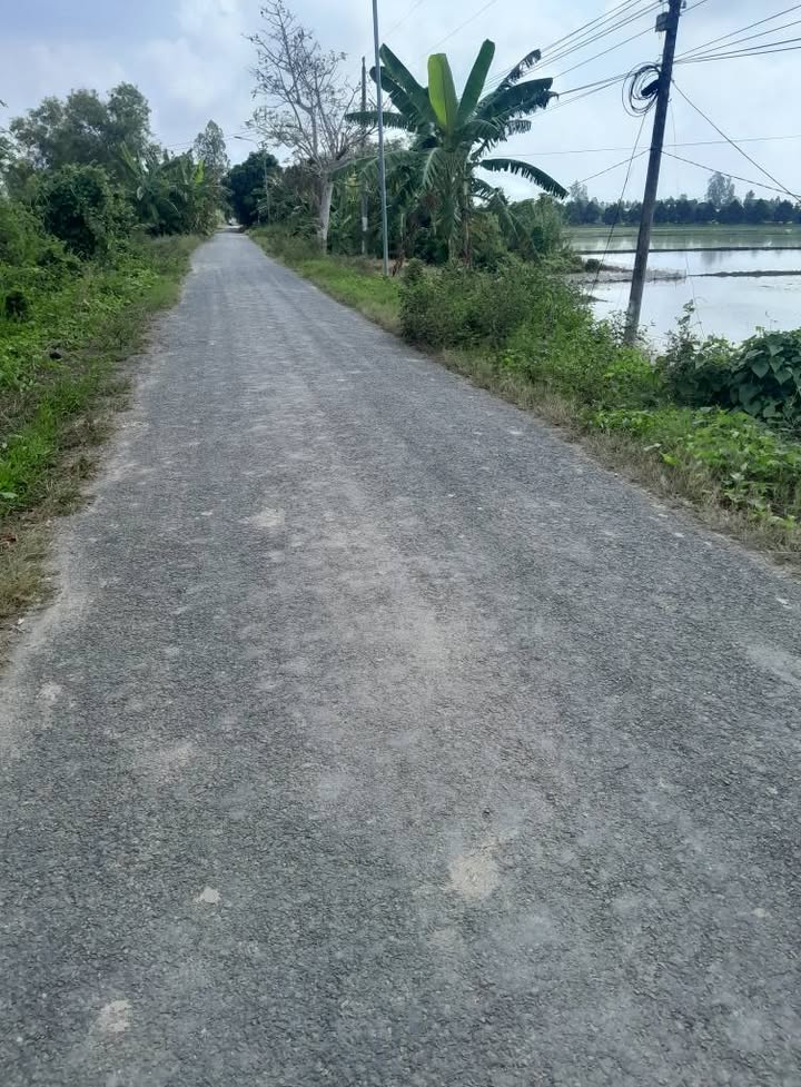 Đất nền 60 Công tại xã Tây Phú, Thoại Sơn, An Giang - Pháp lý rõ ràng, giá thỏa thuận!