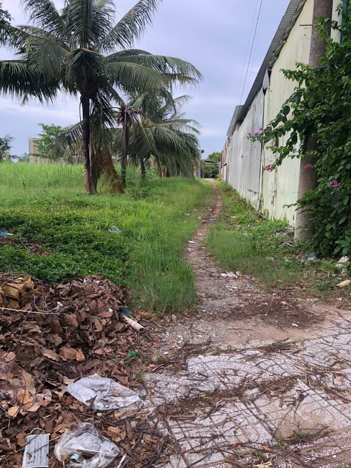 Nhà kho 400m² đường Võ Văn Kiệt, Cần Thơ - Giá chỉ 5.5 tỷ, thu nhập ổn định từ cho thuê!