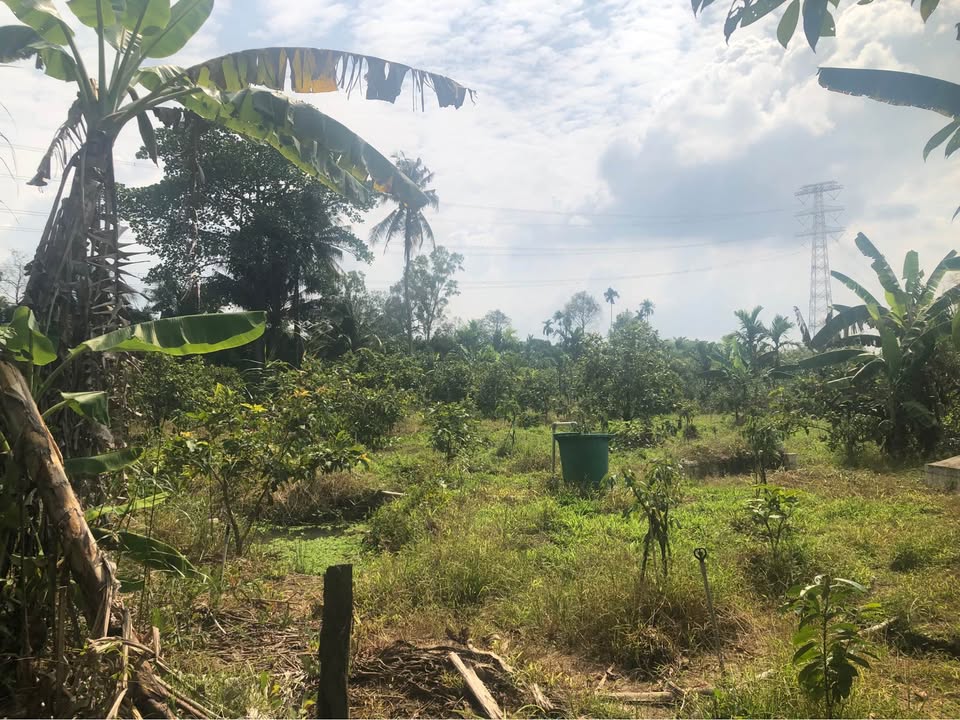 Đất nền Phong Hoà Lai Vung 3360m² - Vị trí đắc địa, giá thỏa thuận!