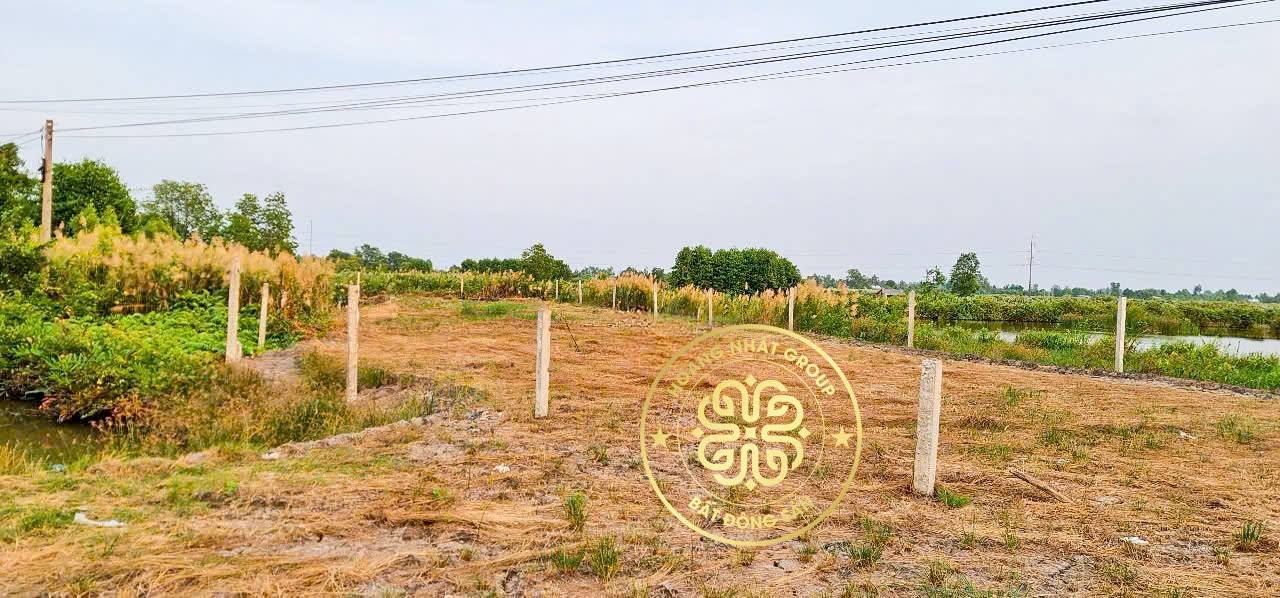 Đất mặt tiền QLPH Tân Thạnh 1199m² giá thỏa thuận - Tiềm năng phát triển cao!