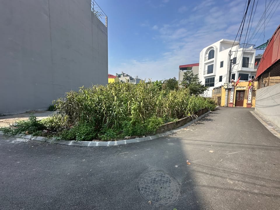 Đất nền Bắc Hồng, Đông Anh 78m² giá 4.7 tỷ - Đầu tư sinh lời ngay!