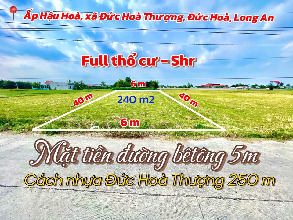 Đất thổ cư 240m² tại Ấp Hậu Hoà, Long An giá 1.45 tỷ - Cơ hội đầu tư hấp dẫn!