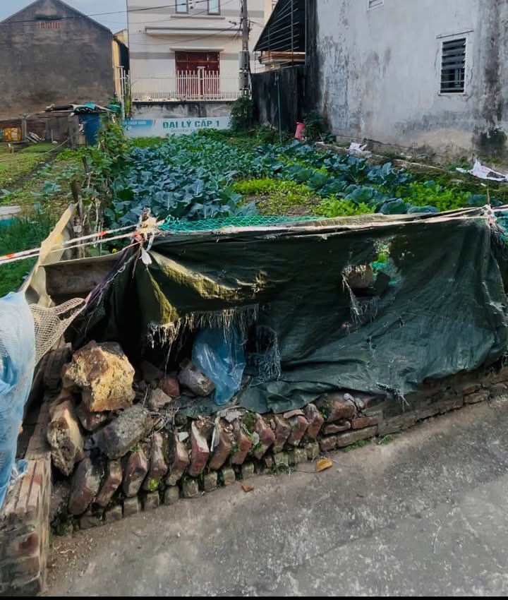 Đất nền Trí Quả Thuận Thành 73m² giá 1 tỷ - Đầu tư sinh lời ngay!