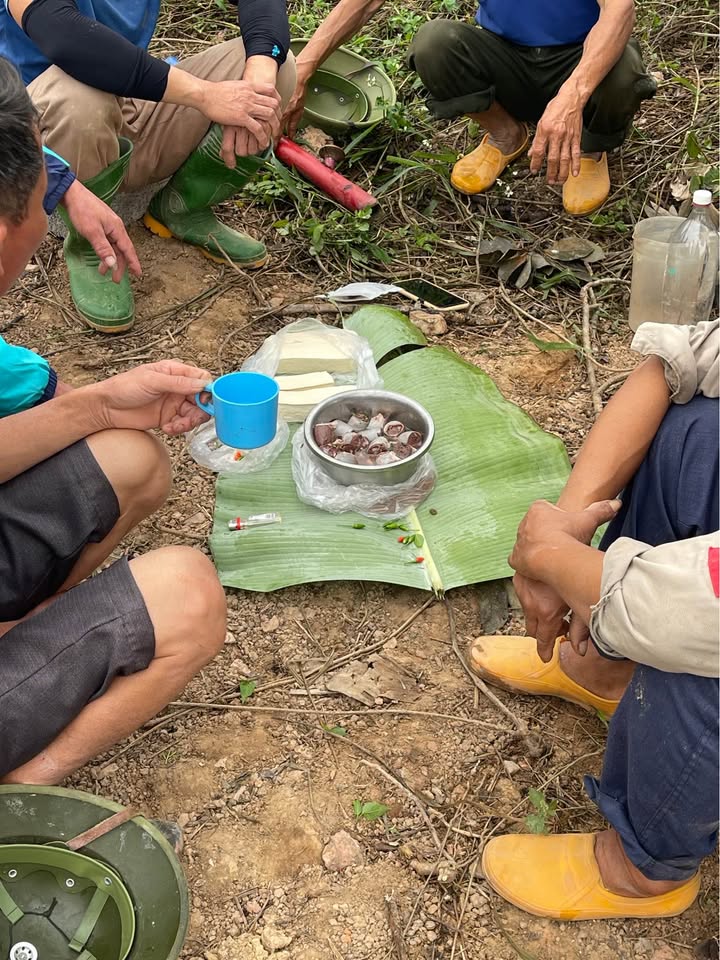 Đất Vành Đai 2 Tân Kim 315m² giá thỏa thuận - Tiềm năng đầu tư cao!