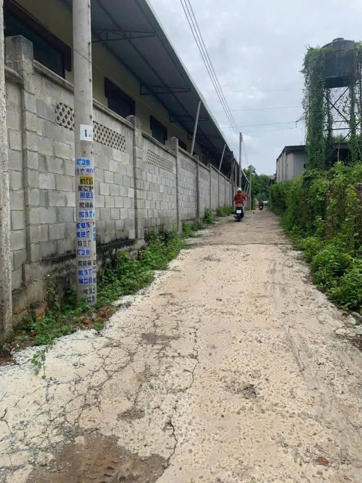 Đất nền Bàu Bàng Bình Dương 840m² giá 800 triệu - Cơ hội đầu tư sinh lời!