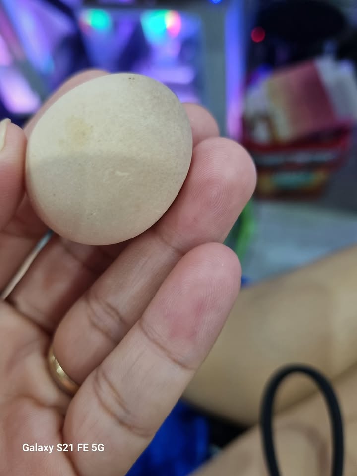 Đất Ninh Phú, Hòa Thắng 1100m² - Đầu tư hấp dẫn, giá tốt!