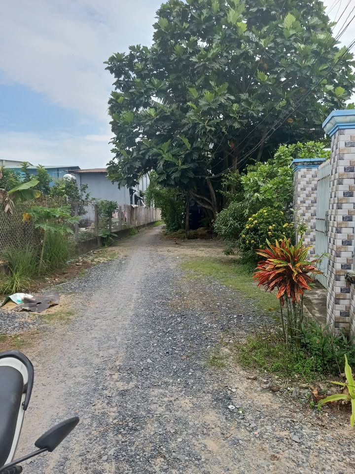 Đất nền phường Gia Lộc, Trảng Bàng 120m² giá 490 triệu - Cơ hội đầu tư hấp dẫn!