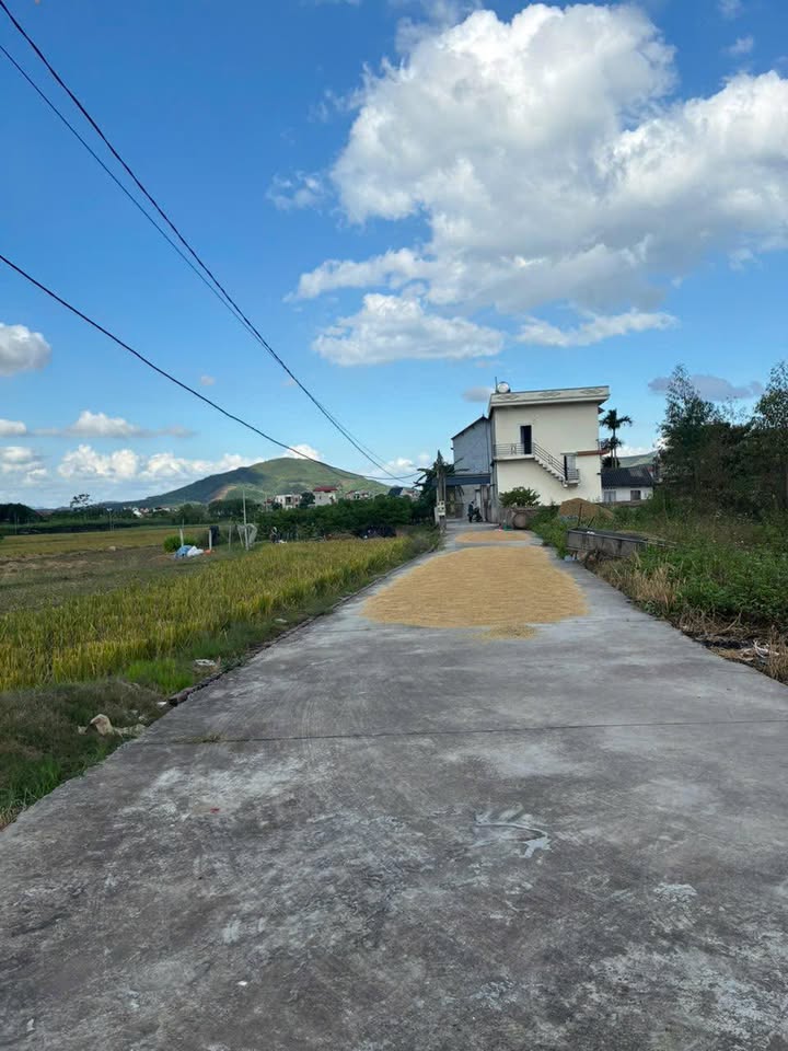 Đất nền Nghĩa Phương, Lục Nam, Bắc Giang 266m² - Giá chỉ 7xx triệu VND, cơ hội đầu tư tuyệt vời!