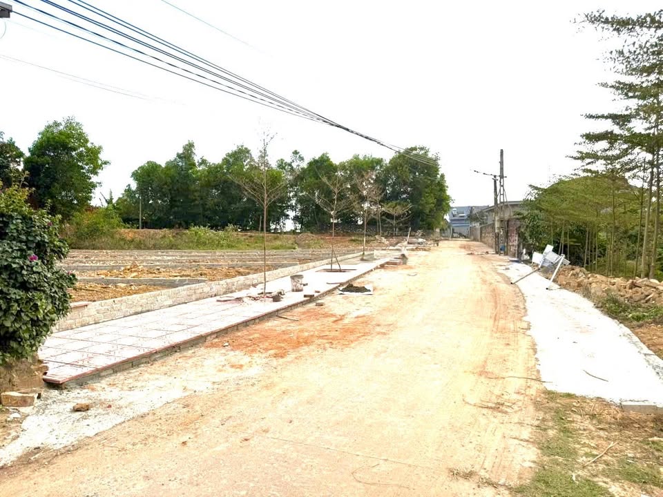 Đất nền Lục Nam Bắc Giang 175m² giá 1.2 tỷ - Mặt tiền 5m, cơ hội đầu tư hấp dẫn!