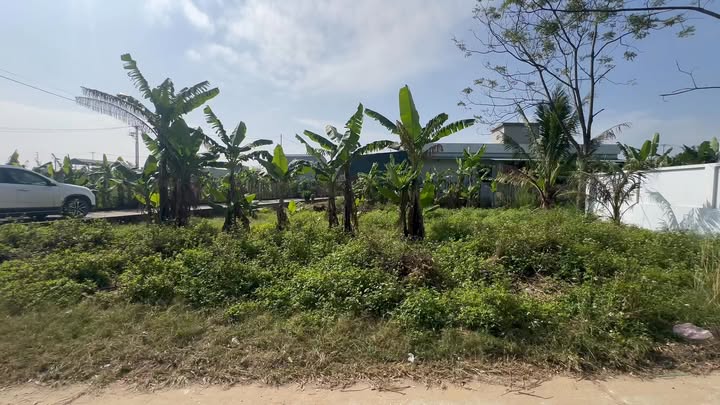 Đất thổ cư Quảng Thái 375m² giá thỏa thuận - Cơ hội đầu tư tuyệt vời!