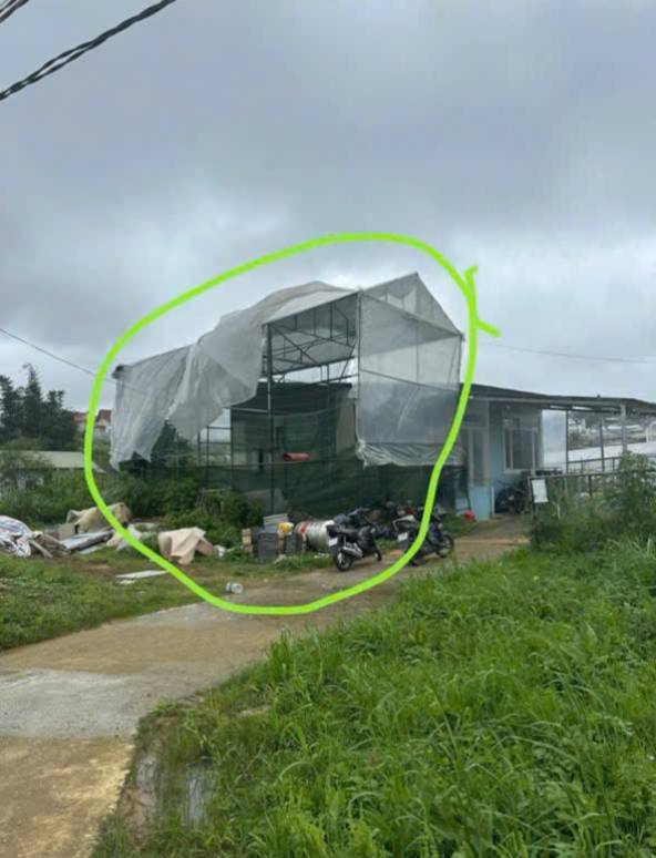 Đất sổ NN đường Mai Anh Đào, Đà Lạt 82m² - Giá chỉ 1 tỷ!