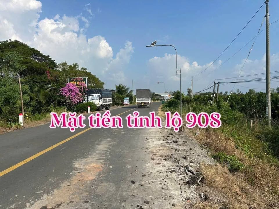 Đất nền mặt tiền tỉnh lộ 908, xã Tân Lược, 114m² giá chỉ từ 699 triệu - Cơ hội đầu tư tuyệt vời!