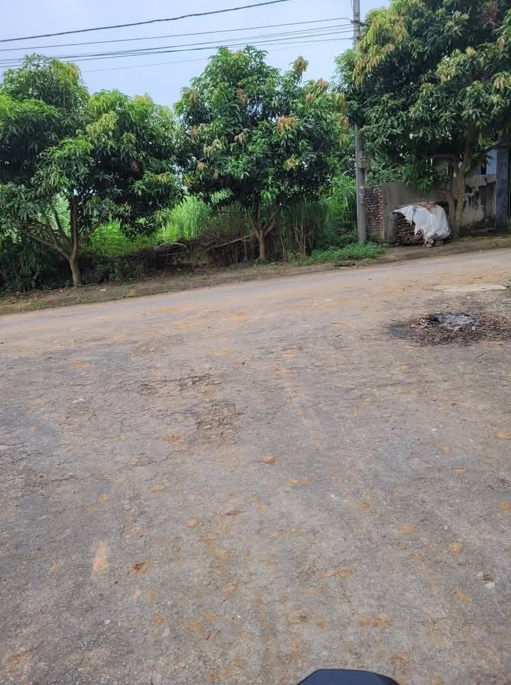 Đất tái định cư Kim Đức, Việt Trì 150m² giá 2 tỷ - Sổ hồng chính chủ, xây dựng tự do!