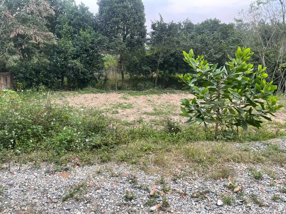 Bán đất Khu 2 Vân Phú Việt Trì 642m² giá 2 tỷ - Mặt tiền 43m, ô tô tránh nhau!