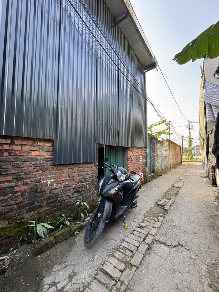 Đất đẹp tại Ngõ 95 Thúy Lĩnh, 45m² giá 2.2 tỷ - Đầu tư sinh lời ngay!