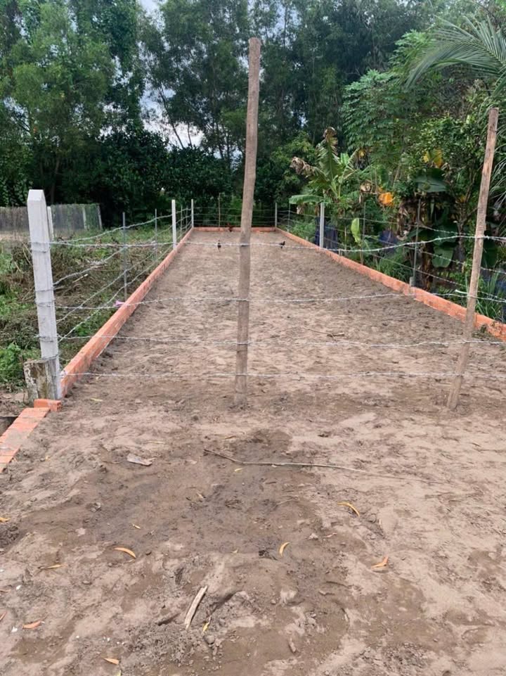 Đất thổ cư An Hòa, Trảng Bàng 145m² giá 1 tỷ - Mặt tiền nhựa thuận lợi!