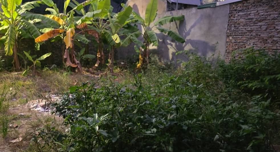 Đất nền Yên Thường, Gia Lâm 50m² giá 2.7 tỷ - Đầu tư tiềm năng ngay hôm nay!