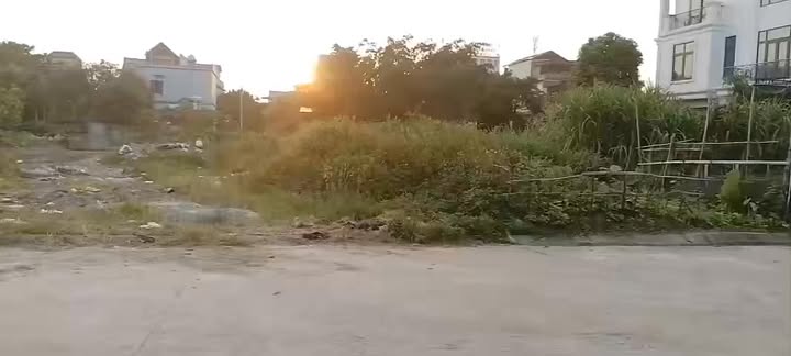 Đất thổ cư Ninh Bình 477m² mặt tiền 15m - Đầu tư lý tưởng!