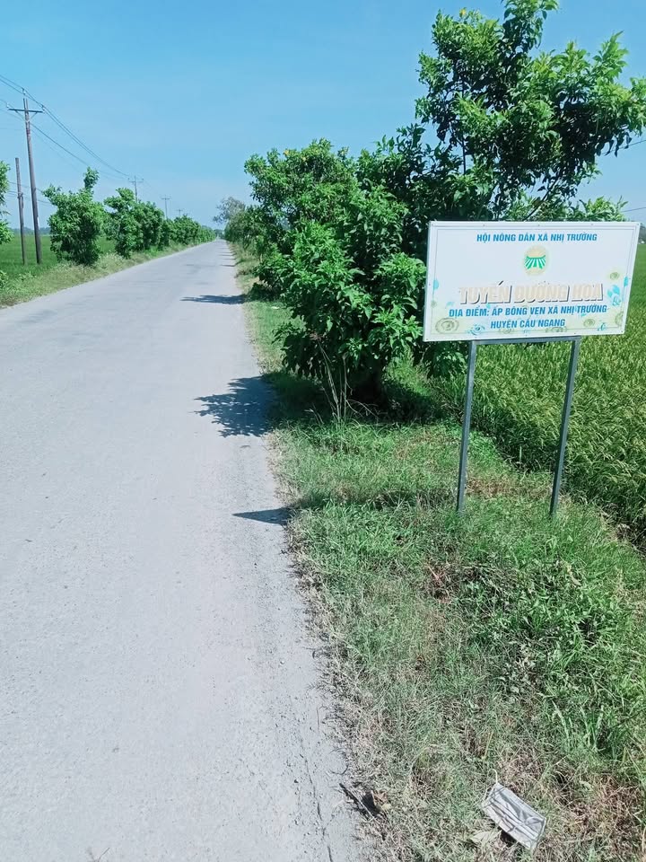 Đất mặt tiền đường HL17, xã Nhị Trường, 1750m² giá 1.225 tỷ - Vị trí đắc địa gần chợ và trường học!