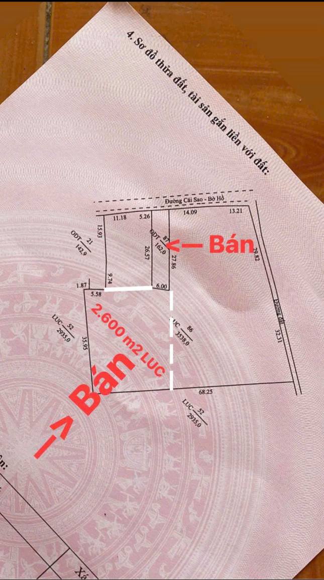 Đất thổ vườn 2762m² tại Mỹ Thới, Long Xuyên - Cơ hội đầu tư tiềm năng!