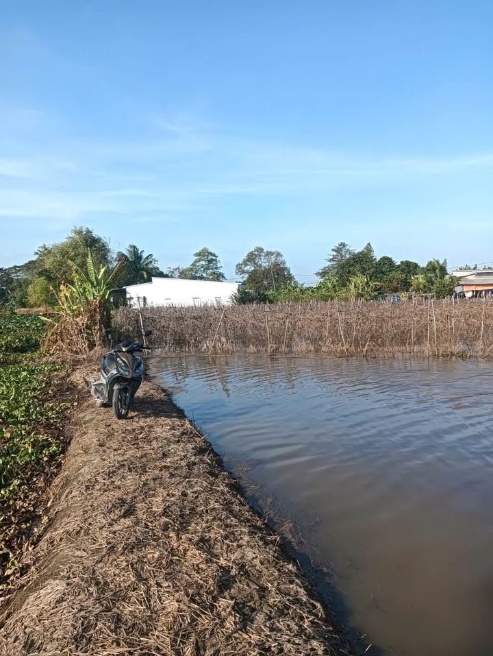 Đất nông nghiệp Phú Thuận Thoại Sơn 2690m² giá tốt - Tiềm năng phát triển!