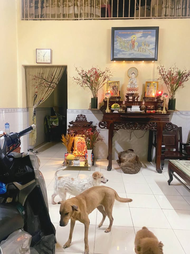 Đất nền Trường Thạnh Thủ Đức 106m² giá 5.2 tỷ - Sổ riêng, xây dựng tự do!