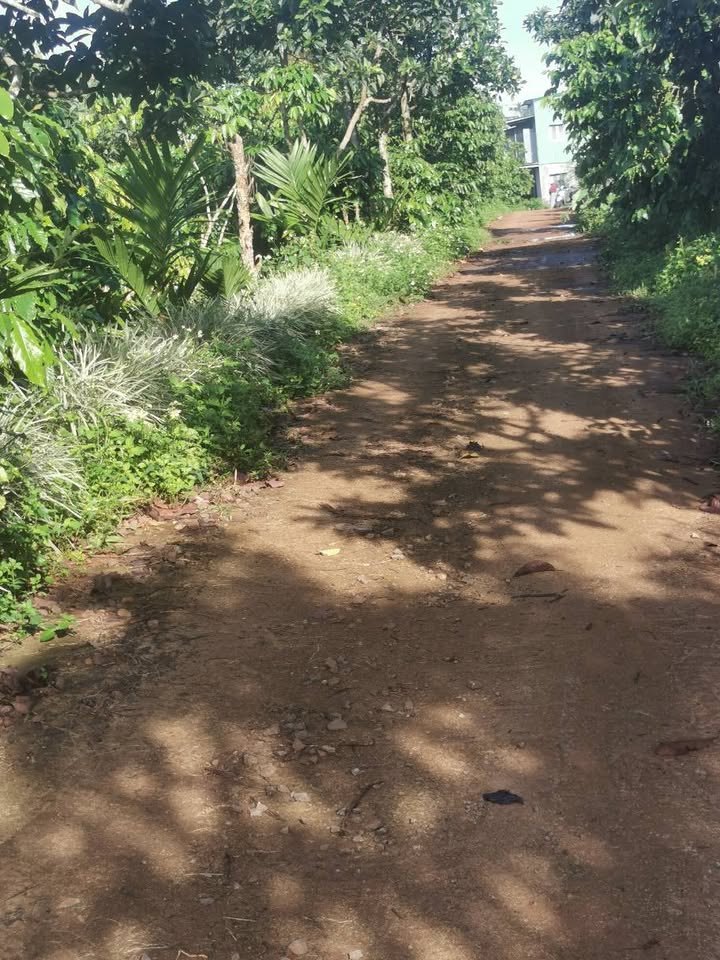 Đất thổ cư Lộc Ngãi, Bảo Lâm 4500m² giá 5.2 tỷ - Cơ hội đầu tư hấp dẫn!