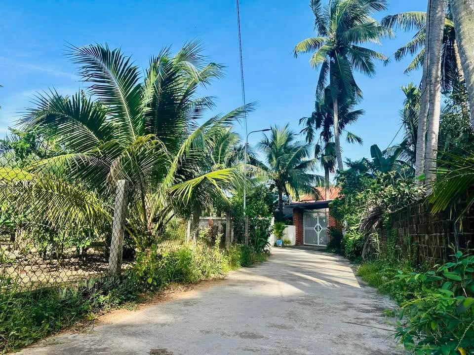 Đất nền Tam Quan Nam Hoài Nhơn 175m² giá thỏa thuận - Khu dân cư sầm uất!